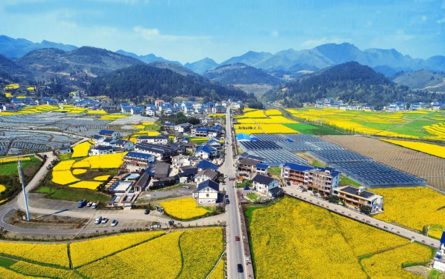 传承红色基因 推动绿色发展
